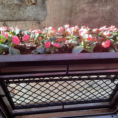 Viccinella House Apartment Capranica ภายนอก รูปภาพ